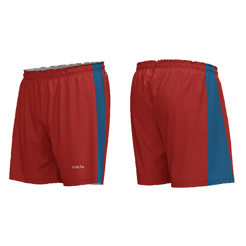 Men's Volley Shorts V900